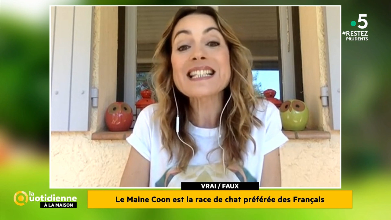 2020-05-27_11_55_Fr5_La-quotidienne.mp4_snapshot_00.19.59.822