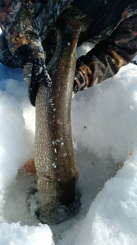 F7892253-8F41-4901-9958-17EFC494C5E8