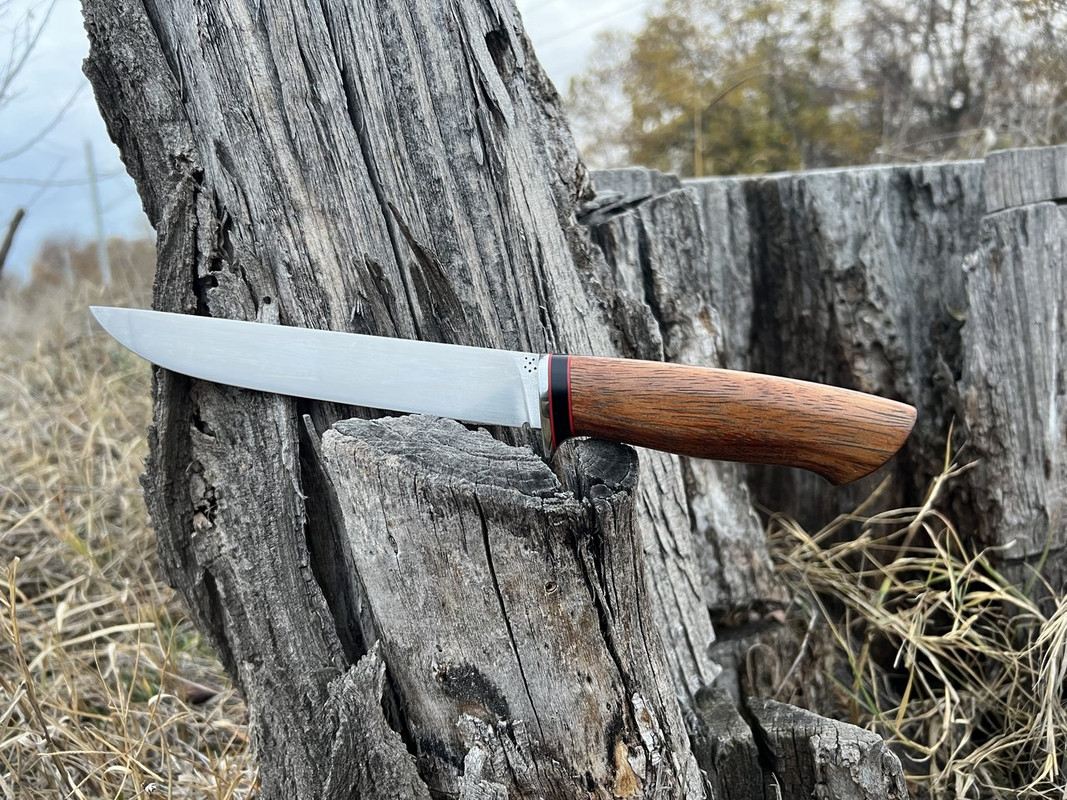 B9BB0B7F-684D-4785-A60C-E3A3A2946937