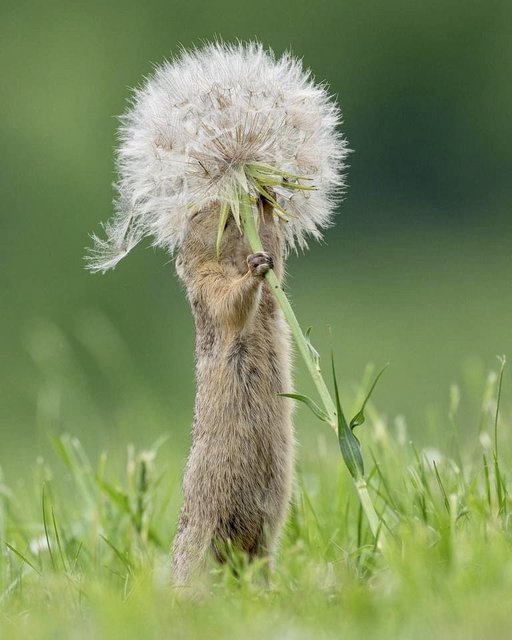 [Image: A3-C15937-107-B-4844-8-DC8-C160-E20-E29-E1.jpg]