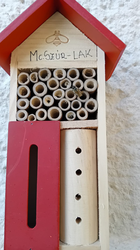 441165526_10228517230893178_4989526385795406_n