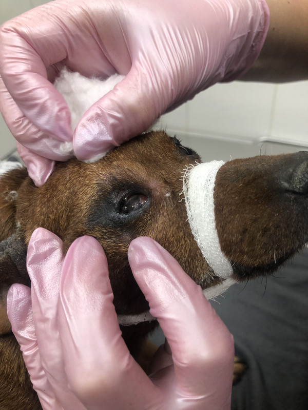 ACCB3562-9108-4D9E-8AFA-F9FF0B6E53E6