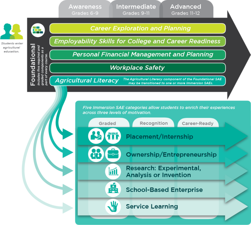 Entrepreneurship SAE Project