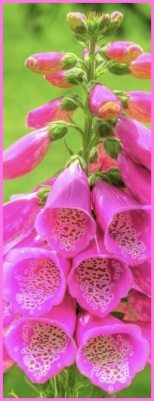 D9D6539C-CC0B-47B8-89FF-16DF7AD2F4E7