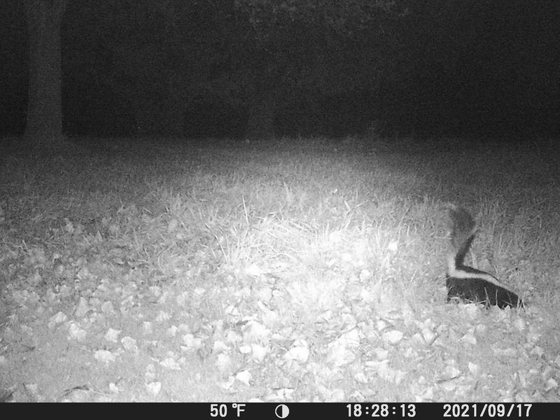 E16198CF-E45E-4451-B0D8-6DE3E2D3D0A8