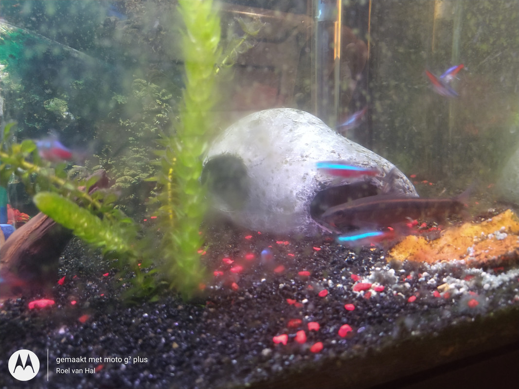 IMG_20201106_222831499