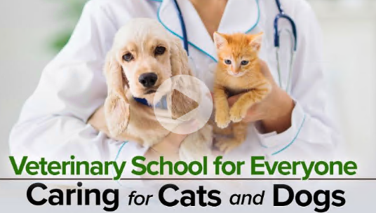 TTC - Veterinary School for Everyone Caring for Cats and Dogs