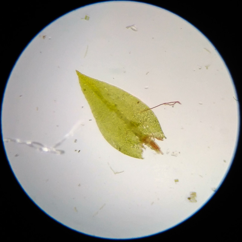 IMG 20250617 115407 HDR