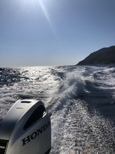 Balcanes - Apulia - Blogs de Europa - Dubrovnik. Disfrutando del mar adriático y completar la visita a la ciudad. (4)