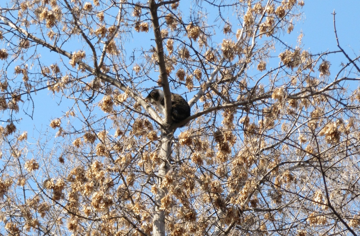 2019-04-11-05-50-58.jpg