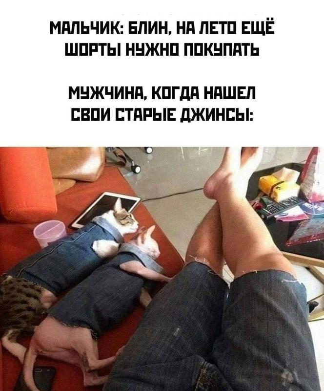 [Изображение: izobrazenie-viber-2026-06-17-08-17-17-516.jpg]