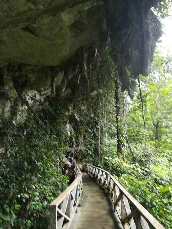 WhatsApp Image 2020-10-10 at 16.06.10 (1)