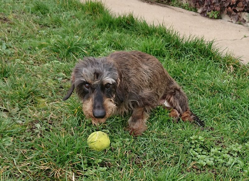 [Image: 20240202-142241.jpg]