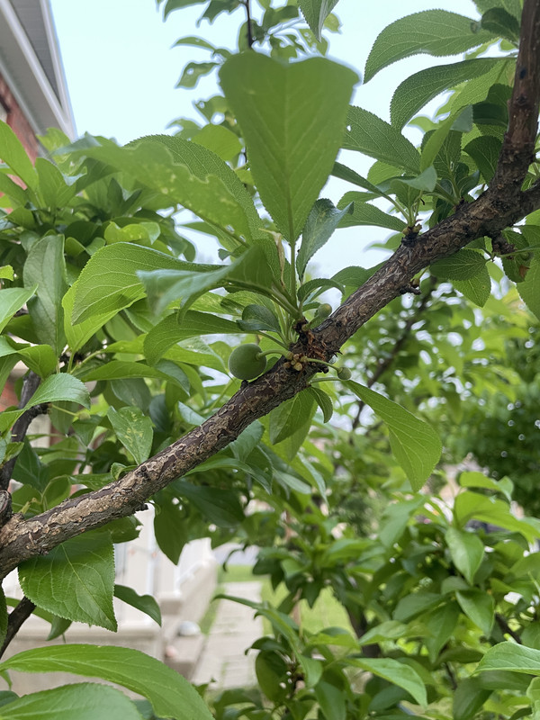 5A1C90D0-17BC-4953-AE7E-6A9ADD893D0D