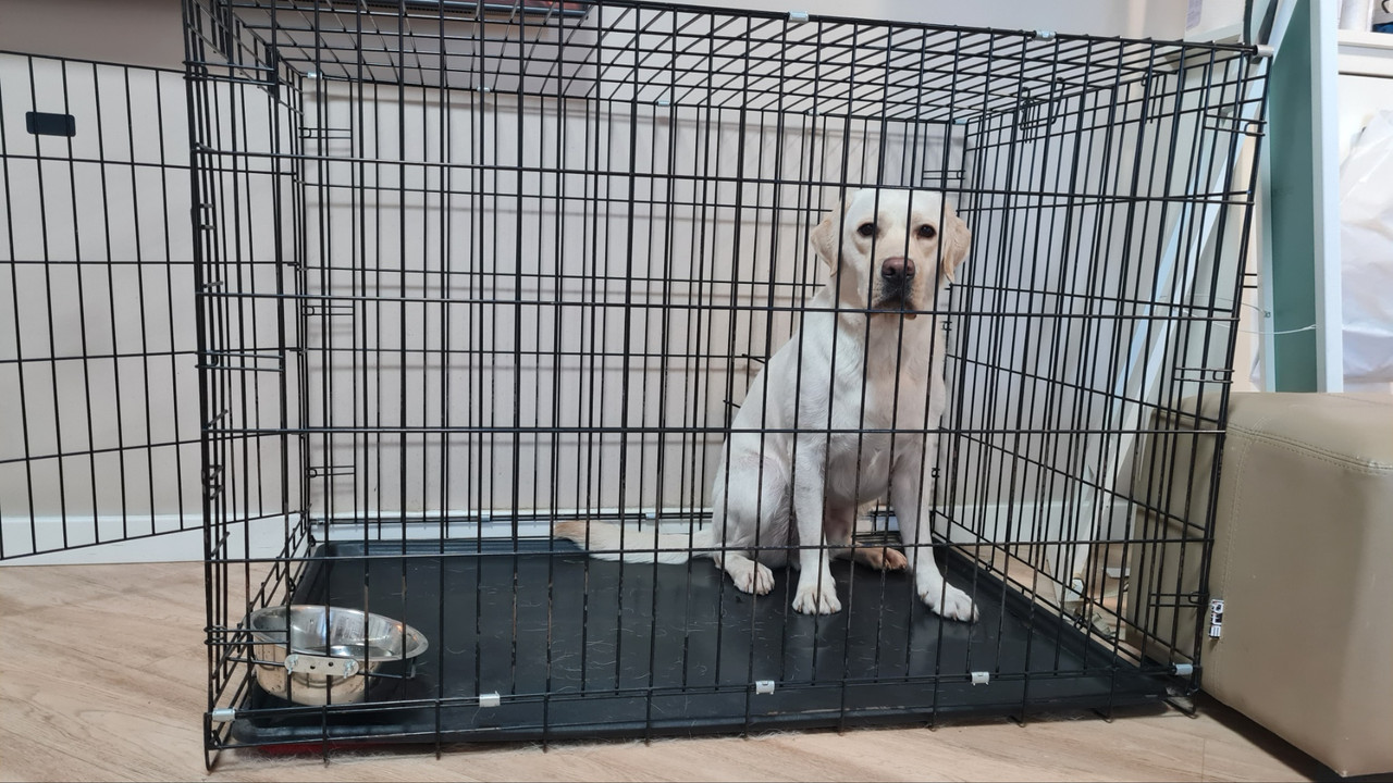 IMG-baeddbc0ce394ae9e5eb9017083e7c12-V