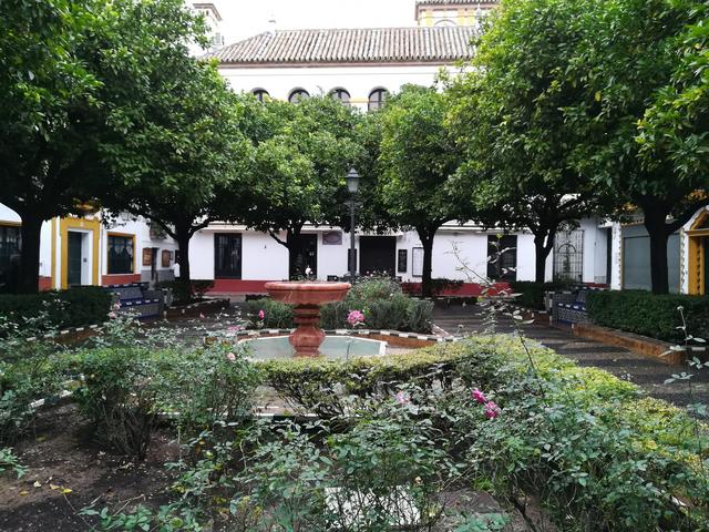 Sevilla, bajo la lluvia de otoño - Blogs de España - Día uno: Llegada y paseo por la judería (7)