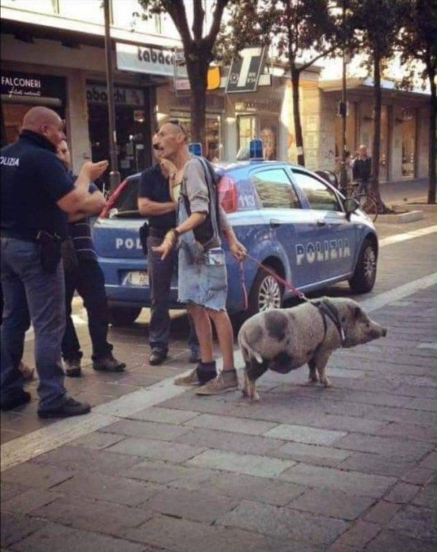 WTF-1