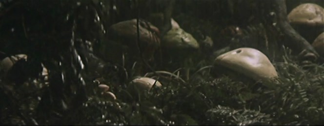 Movie cover image