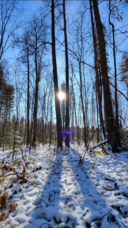IMG-20241012-161038.jpg