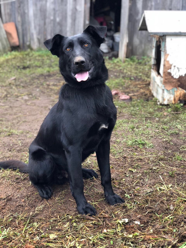 C99E4953-DA29-4EE5-AFAB-09BAF3F20BA6