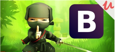 Bootstrap Ninja: Master in Theme Development