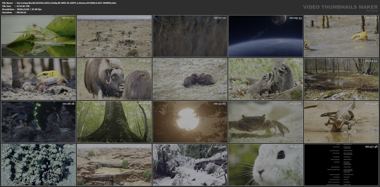 Our.Living.World.S01E02.2024.2160p.NF.WEB-DL.DDP5.1.Atmos.DV.HDR.H.265-HHWEB.mkv