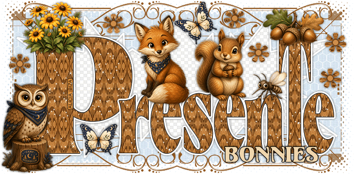 Presente-Camp-Moonbeam-bonnies