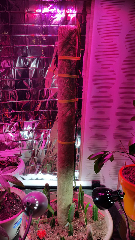 20150512_024153 (1)