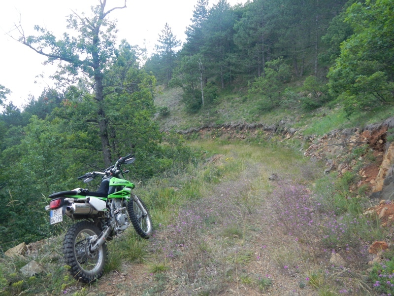 Zlatibor juli 2013 (65)