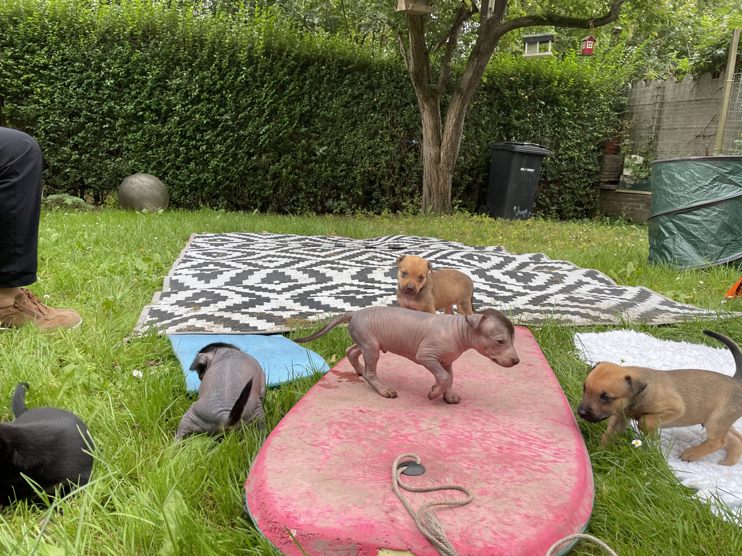 91C08668-DE6C-405F-B773-B749C99640EA