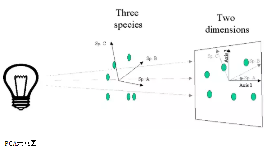 PCA_1