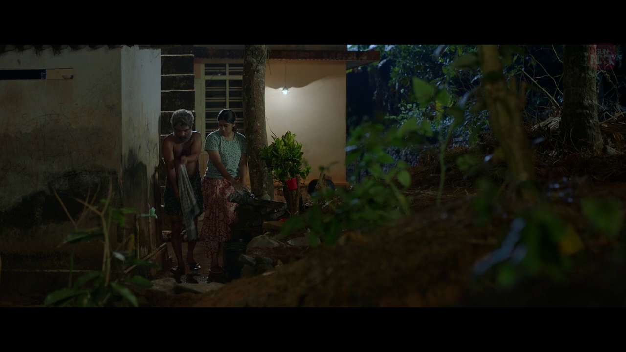 vlcsnap 2026 02 11 15h59m12s644