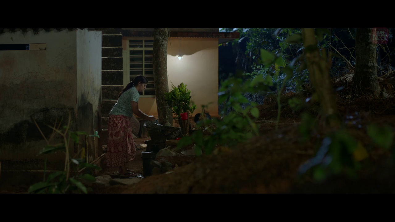 vlcsnap 2026 02 11 15h59m07s008