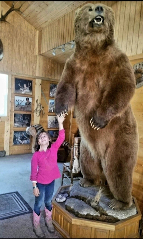 Screenshot_20230818_202027_Photos