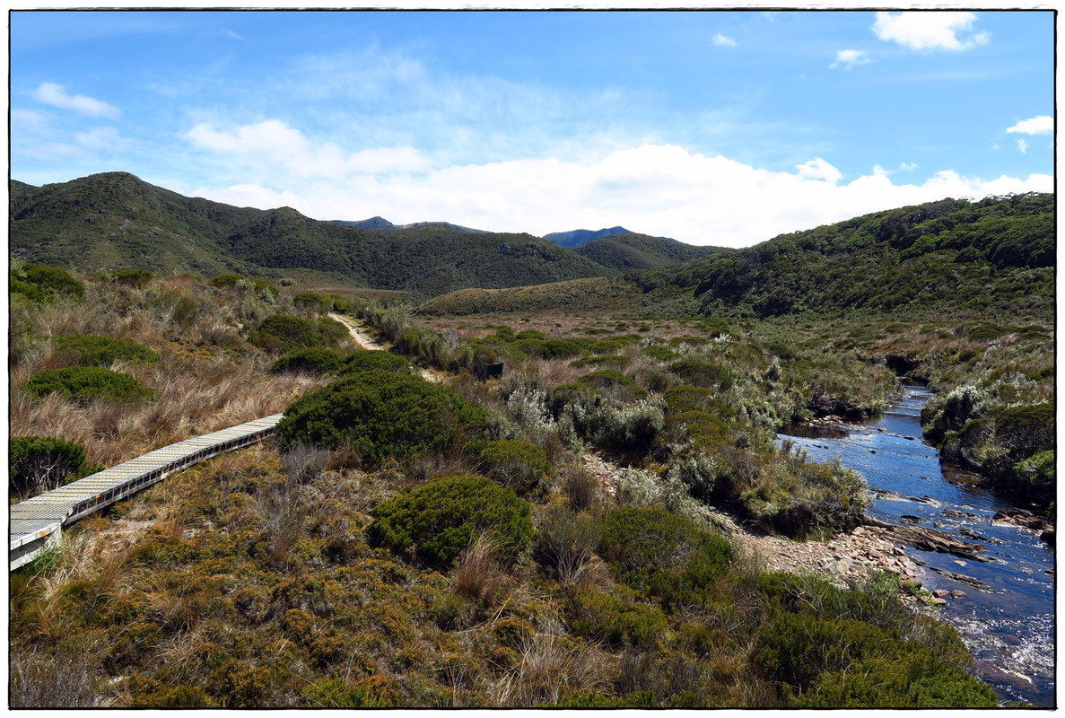 Escapadas y rutas por la Nueva Zelanda menos conocida - Blogs de Nueva Zelanda - Kahurangi NP: Heaphy Track (Navidad 2020, III) (22)