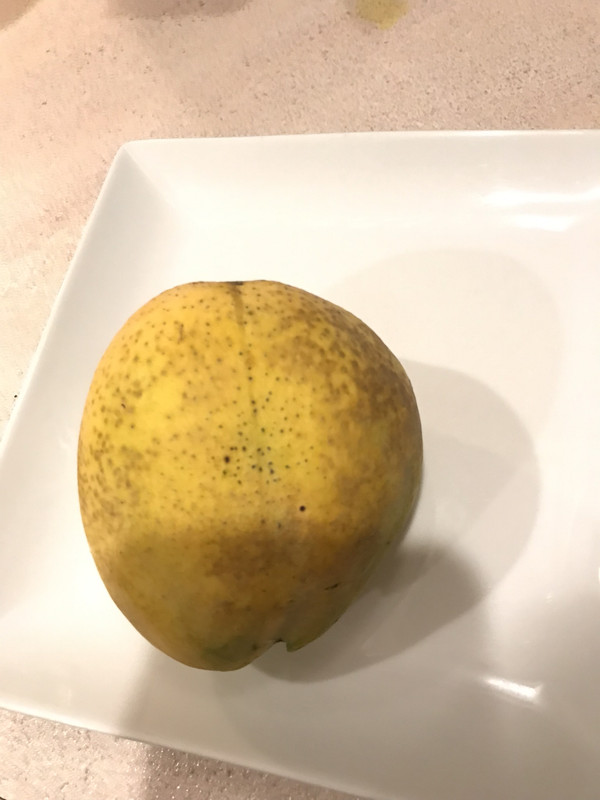 670AE6AB-F58B-4098-A435-C4E1866D8A0B