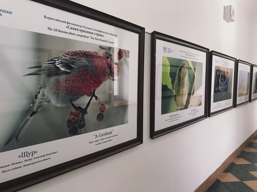 D40DEEDA-A210-442D-8B18-5471585D97D1