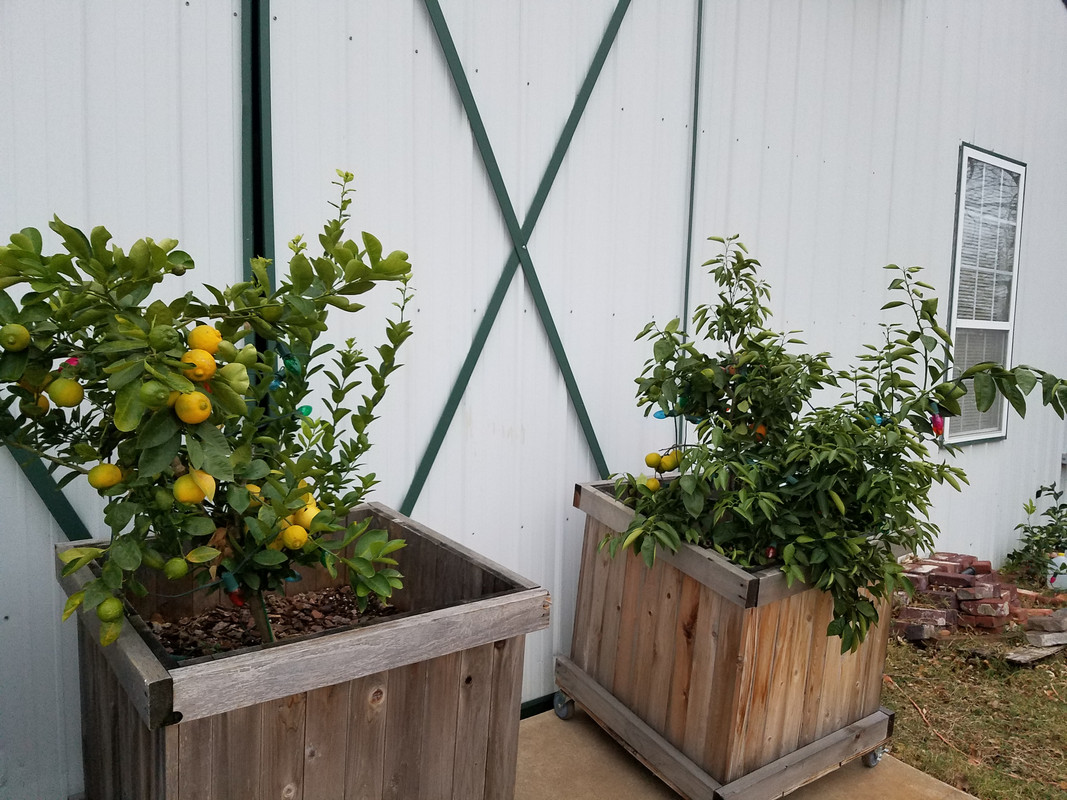 20171129_170654