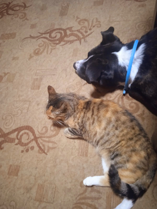 IMG-20230829-WA0091(1)