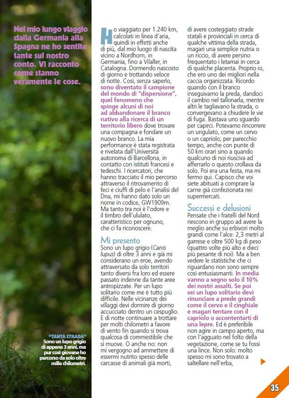 Foc Wil - Giu 2024 (8)