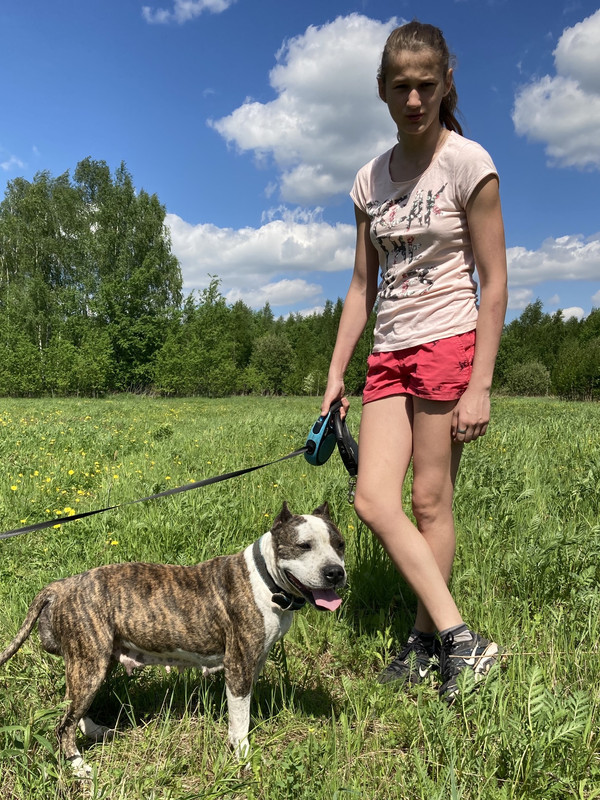 070D5365-2F85-46F2-A371-C478BD4E6033