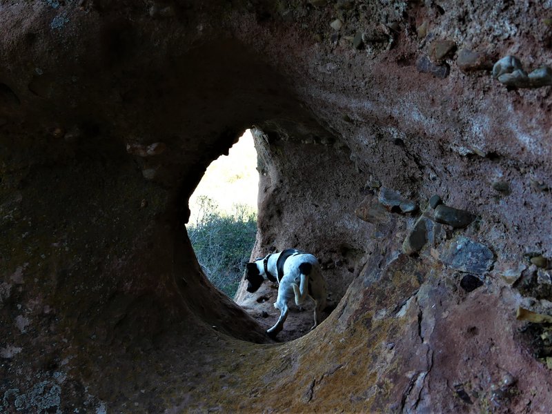 YACIMIENTO ARQUEOLOGICO DE TIERMES-16-2-2020 - Soria y sus pueblos-2010/2013/2020 (67)