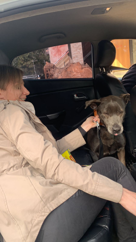 440E1255-C4C7-483F-A018-1C30B6A52FC7