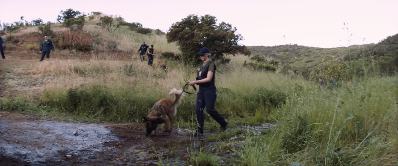 1F34DD2E-1501-4166-82F0-DF42C3A65949