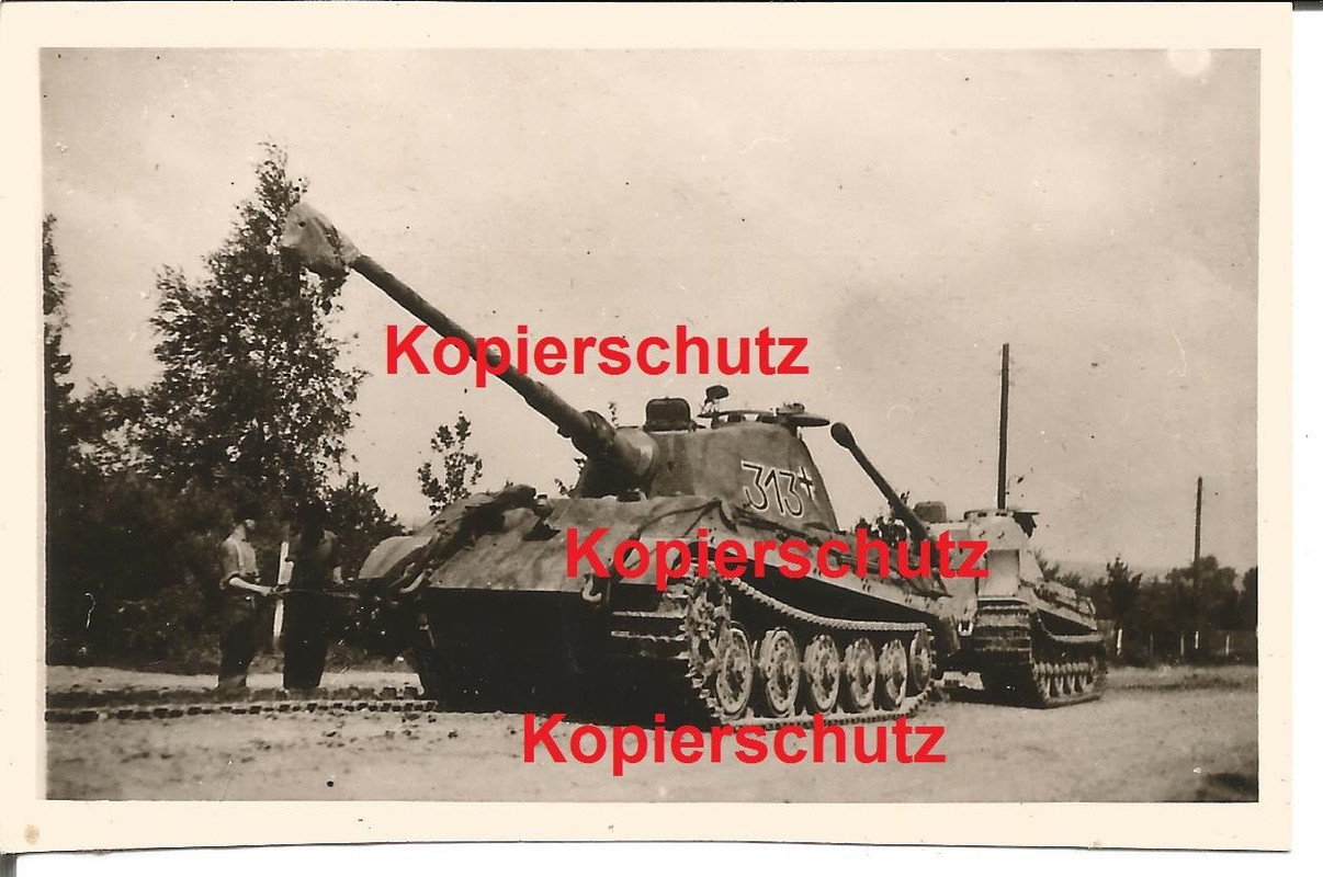 Tiger Panzer Abteilung 501 Königstiger Nummer 313 in Polen 1944