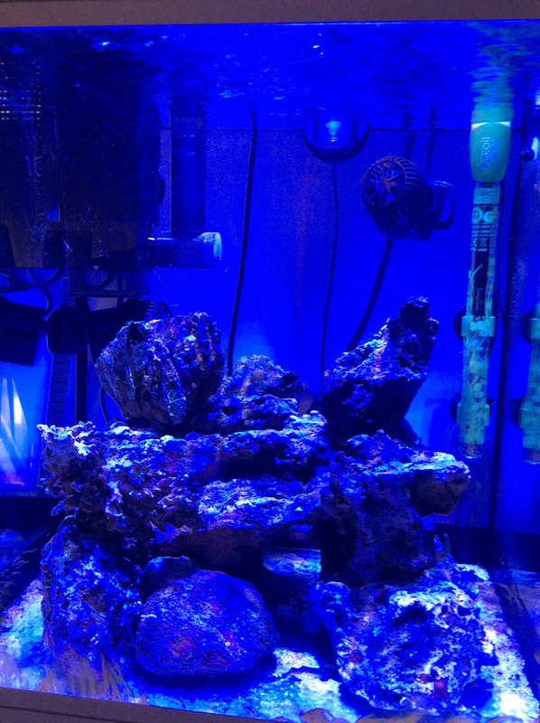 D95D9F02-B30C-4773-B6F3-889536FCD071