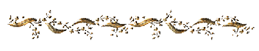 unnamed-3.gif