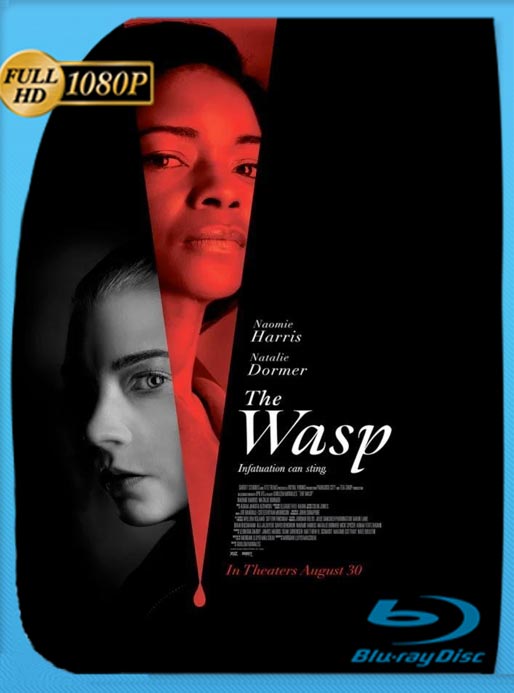 The Wasp (2024) WEB-DL HD 1080p Latino [GoogleDrive]