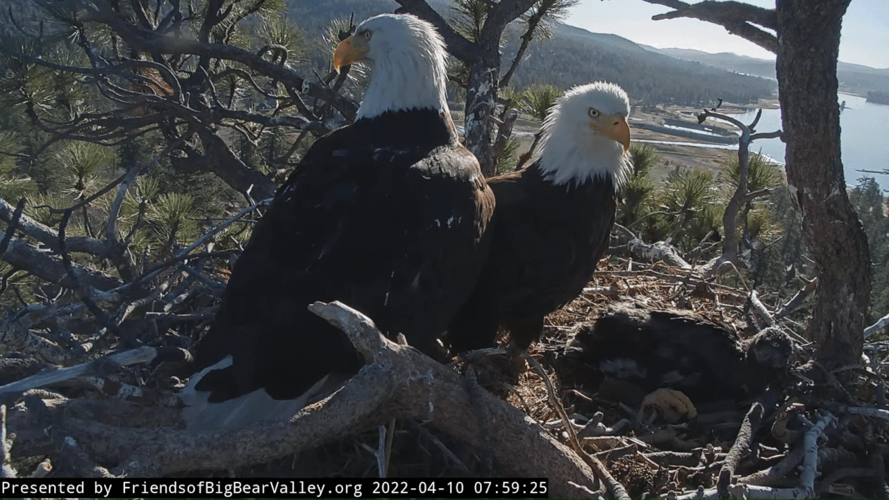 Webp.net-gifmaker (2)