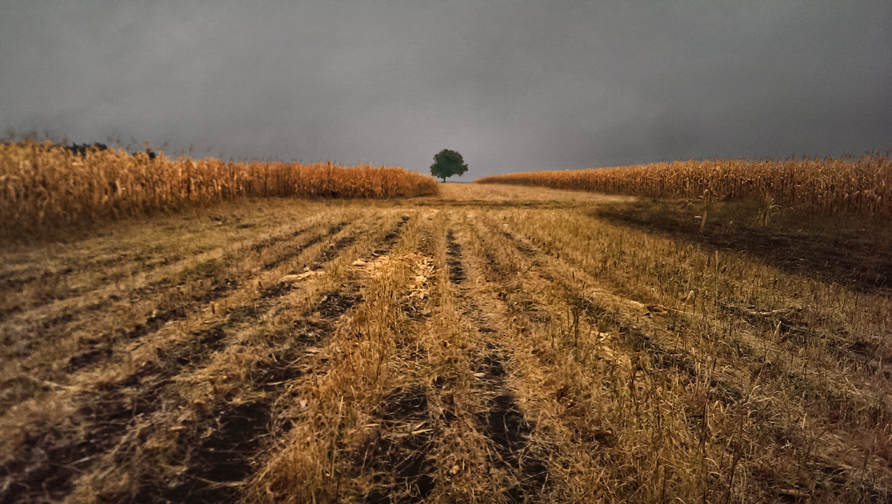 IMG-20190924-162700-02.png